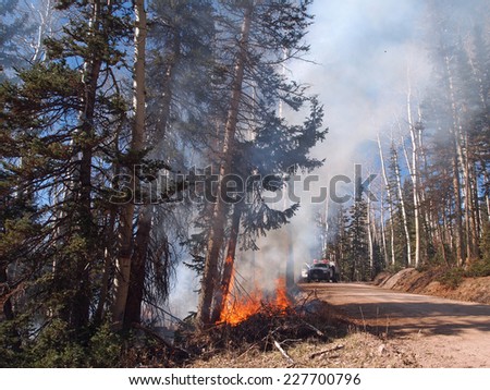 A fire engine responds to a forest fire along the road.