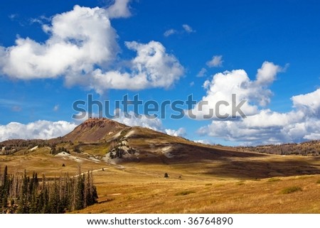 Yellow grasses and bright clouds on a late summer day in the mountains.
