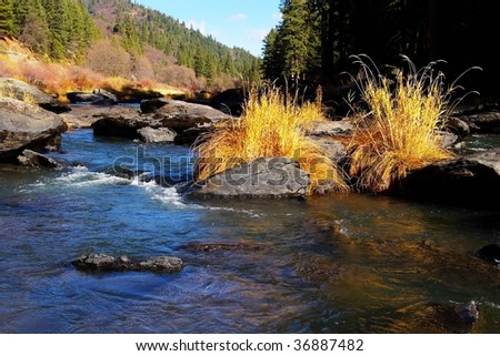 Swirling water and golden color in the middle of a mountain creek.