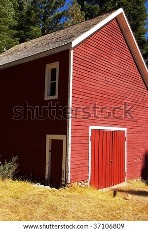 A bright red barn with white trim on the edge of a pine forest.