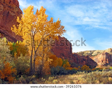 Towering red rock canyon walls and trees with autumn foliage.