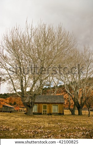 Empty rural cabin with cottonwood trees in the autumn.