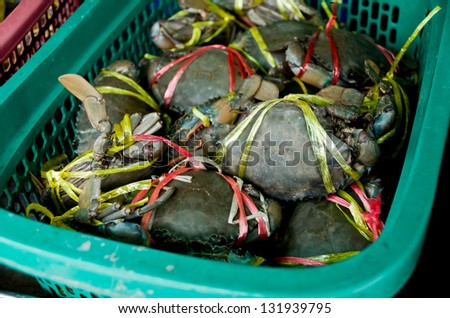 live sea crab selling at local market, Thailand