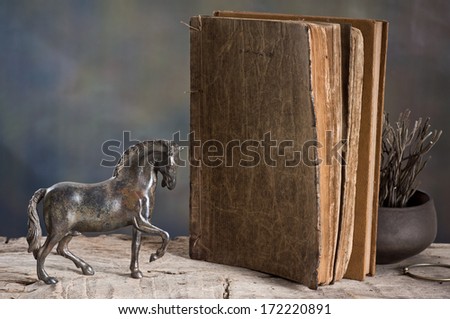 Still life, metal horse Model with old reference book