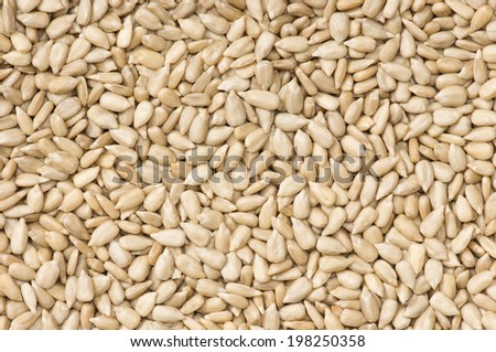 top view close up of raw Sunflower Seeds
