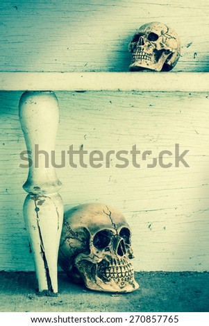 Mini size human skull on old colored wood shelf in vintage color tone