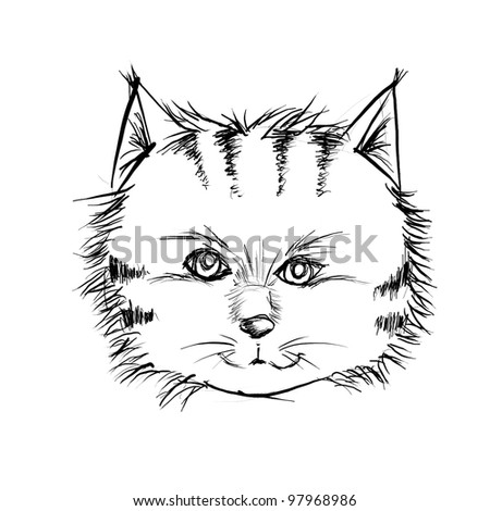 cat face drawing