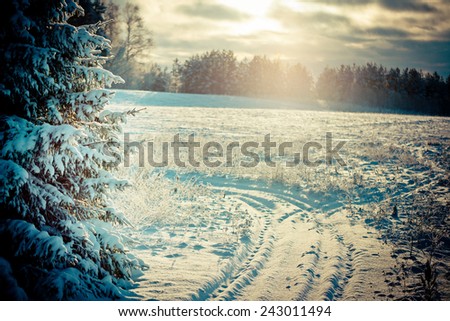 Winter landscape at dawn Winter nature Trees and snow and blue sky