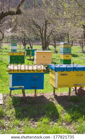 different kinds of beehives situated in the garden