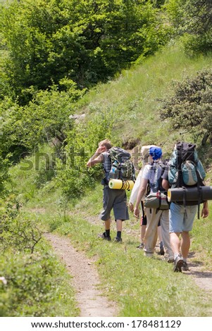 group of tourists walking along the forest road
