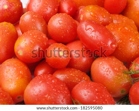 Fresh, delicious and tasty tomatoes and fennel as the example of healthy food and the right way to eat