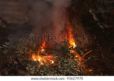 fire in the nature, nature destruction photo