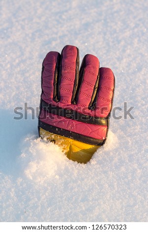 Multicolored leather ski glove on white snow