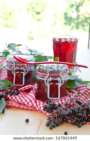 Fruit jelly in jars and fresh elder berries