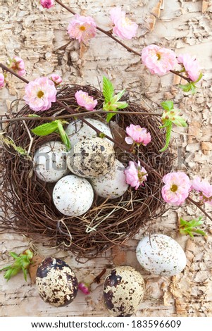 Little easter nest with quail eggs and pink blossoms