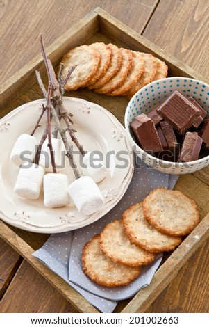 Ingredients for toasting marshmallows over the fire and making s\'mores