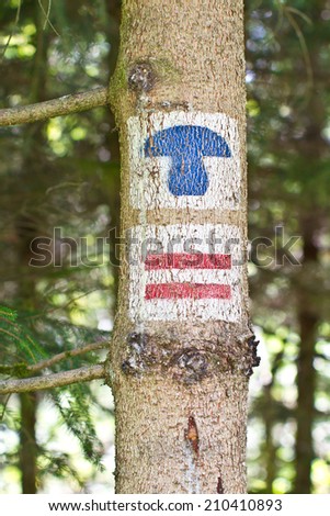 Tree trunk with hiking signs, markings for mushrooms