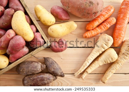 Variety of winter vegetables on rustic wooden background