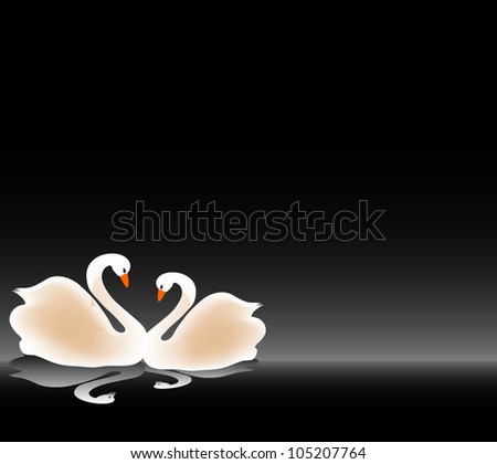 beautiful swan in love ,with place for text illustration