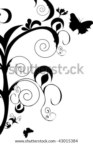 black and white butterfly designs. stock photo : lack and white