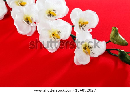 white artificial orchids on a red background