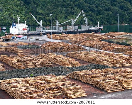 Stacked logs at dock in Marlborough Sounds, New Zealand