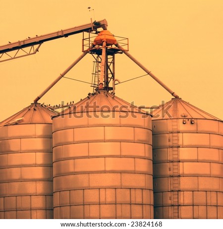 Grain Silos at Fremantle Port
