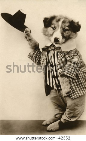 Dancing Dog Act - a humorous turn-of-the-century, vintage photograph.