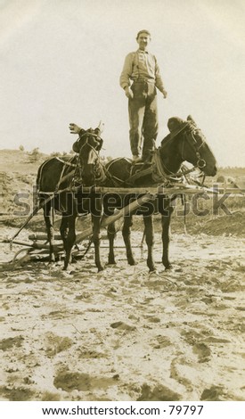 Vintage photo of man standing on mule in a field