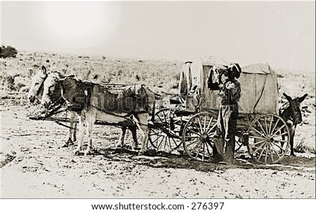 Vintage Photo of Donkeys Hitched Up To A Covered Wagon
