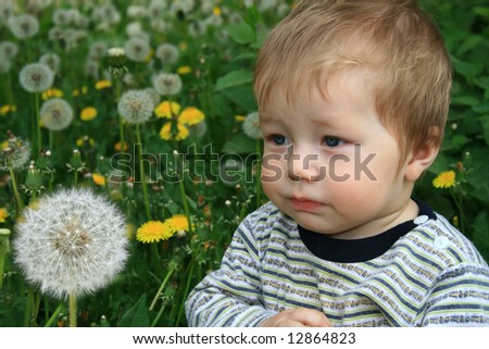 Child with the bouquet of dandelions in the hands