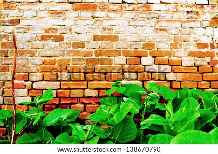 Green plants growing in front of a wall of bricks czerwonch