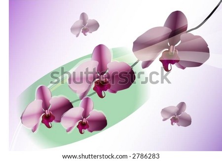 Spring Floral Orchid Background Stock Vector 2786283 Shutterstock 450x326px
