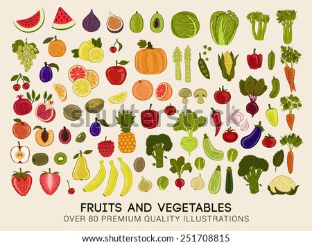 Mega collection of premium quality vector illustrations of fruits and vegetables