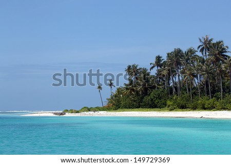 Beach with White Sand and Coconut Palm Trees, Olhuveli Island, South Male Atoll, Maldives