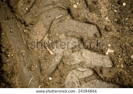 Mud Construction Texture