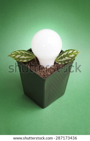 A lit light bulb seemingly grows out of soil in a planter tray, sprouting green leaves.  Against a green paper background. This image recalls green energy, conservation and harvesting your own energy.