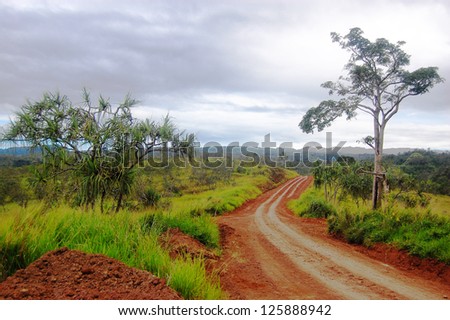 Red dirt road Papua New Guinea