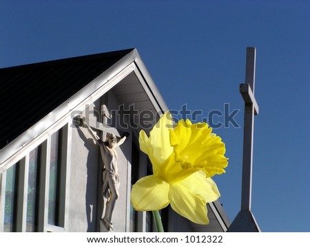easter daffodil and Jesus on cross