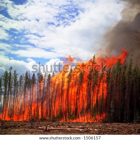 forest fire creates it\'s own weather extremes