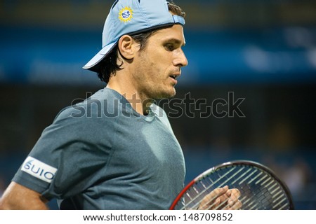 WASHINGTON - AUGUST 3, 2013:  Tommy Haas (GER) falls to Juan Martin del Potro (ARG, not pictured) in the semifinals of the Citi Open tennis tournament on August 3, 2013 in Washington