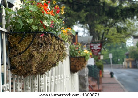 Sidewalk flowers
