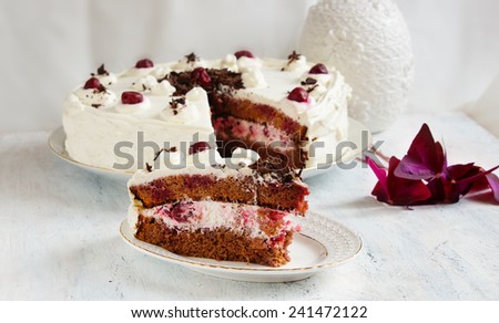 chocolate cake with cherry - Black Forest cake on the white background