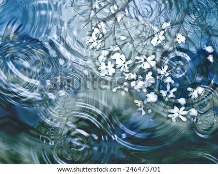 A beautiful close up of ripples on a pond with flower petals and reflection of branches
