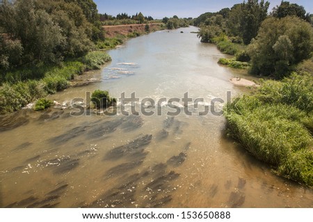 South of France. River Le Tech.