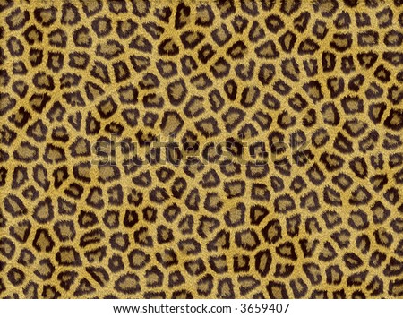 desktop wallpaper leopard print. girlfriend desktop wallpaper