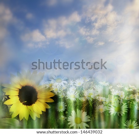 Flowers and sky spring background