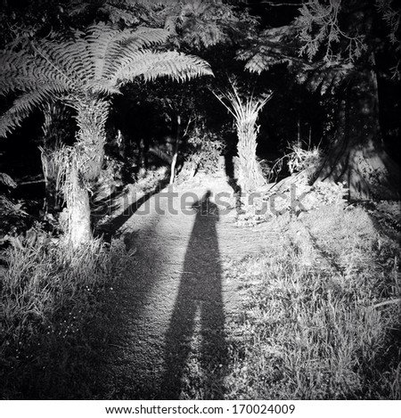 Shadow cast by photographer in forest