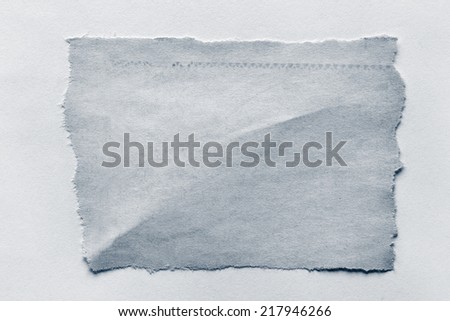 Piece of torn paper on plain background