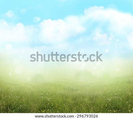 Green meadow and blue sky spring background